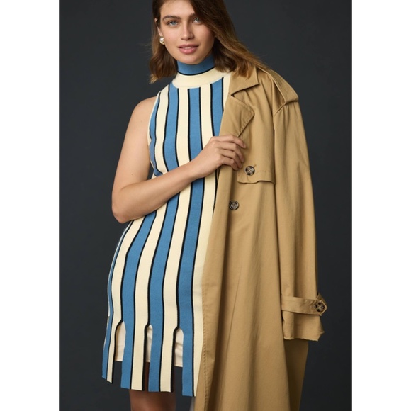 Anthropologie Eva Franco Blue Stripe Cotton Sleeveless Mock Neck Mini Dress - Picture 3 of 8